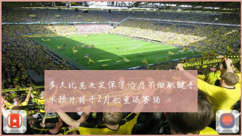 多夫比克决定保守治疗不做肌腱手术预计将于2月初重返赛场