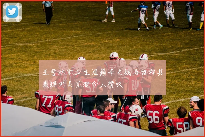 王哲林职业生涯巅峰之战马健称其表现完美无瑕令人赞叹