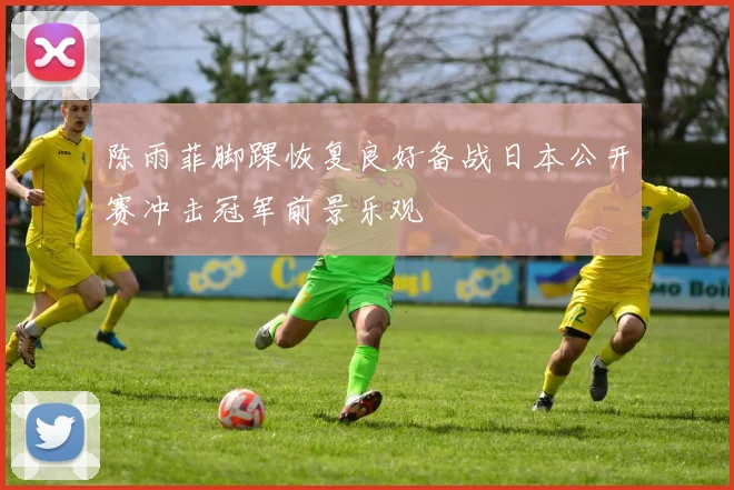 陈雨菲脚踝恢复良好备战日本公开赛冲击冠军前景乐观